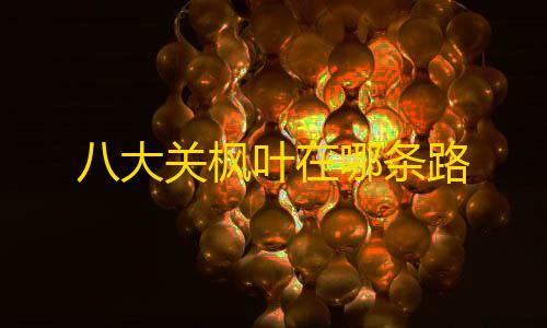 高防云服务器服务八大关枫叶在哪条路